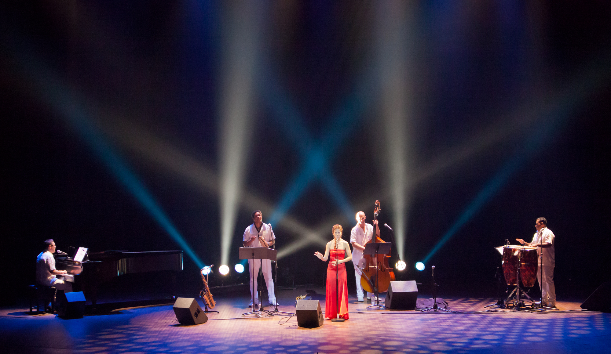 50 STUDIO Photo Marie Jose Hains Corporatif  MG 1761