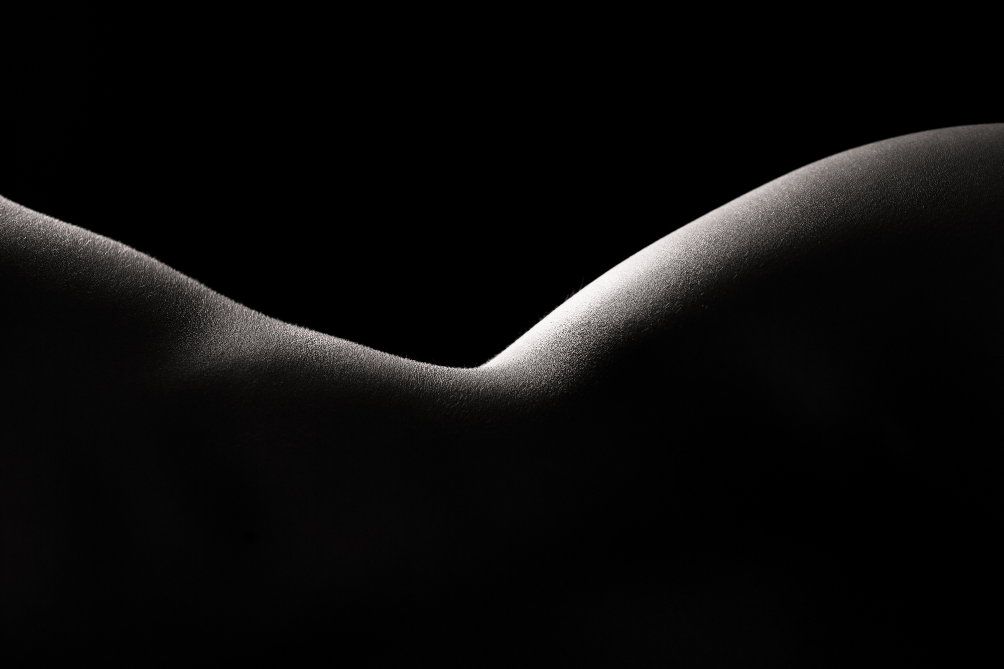 MARIE JOSE HAINS STUDIO LAVAL PORTRAIT  U7A6819 Modifier